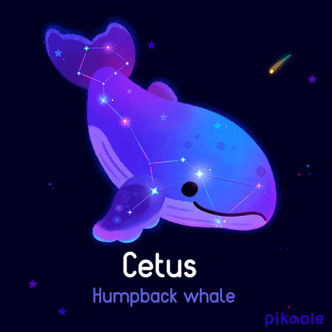 kawaii whale cartoon